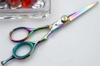 TITANIUM SHEARS