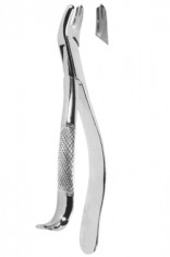 Extracting Forceps American pattern